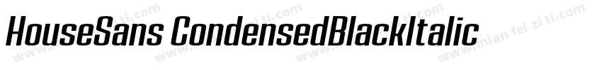 HouseSans CondensedBlackItalic字体转换